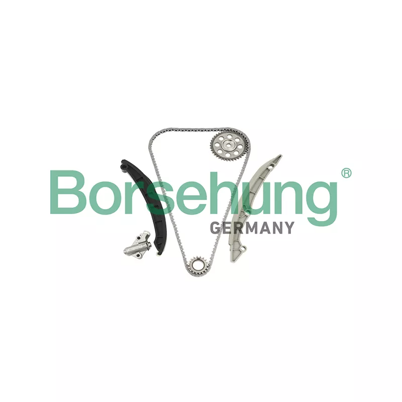 Kit de distribution par chaîne Borsehung B18960