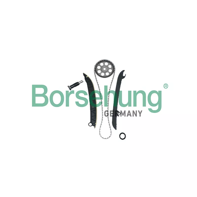 Kit de distribution par chaîne Borsehung B18977