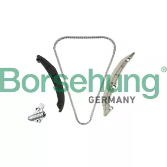 Kit de distribution par chaîne Borsehung B18982