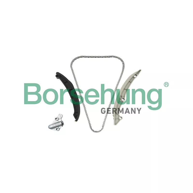 Kit de distribution par chaîne Borsehung B18982