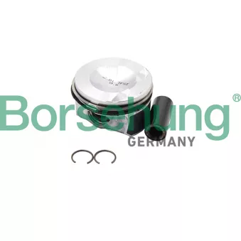 Jeu de segments de pistons Borsehung B18993