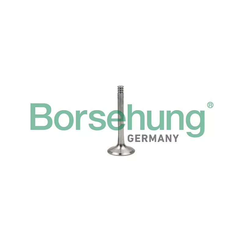 Soupape d'émission Borsehung B18997