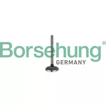 Soupape d'admission Borsehung B18998