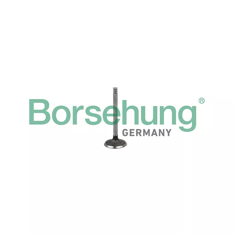 Soupape d'admission Borsehung B18998