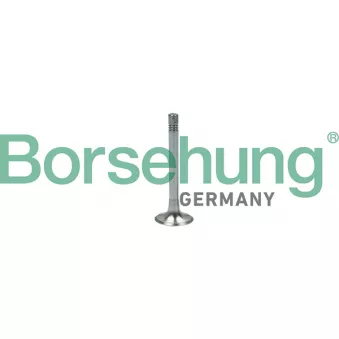 Soupape d'émission Borsehung