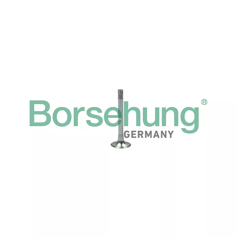 Soupape d'émission Borsehung B18999