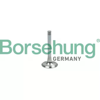 Soupape d'émission Borsehung B19002