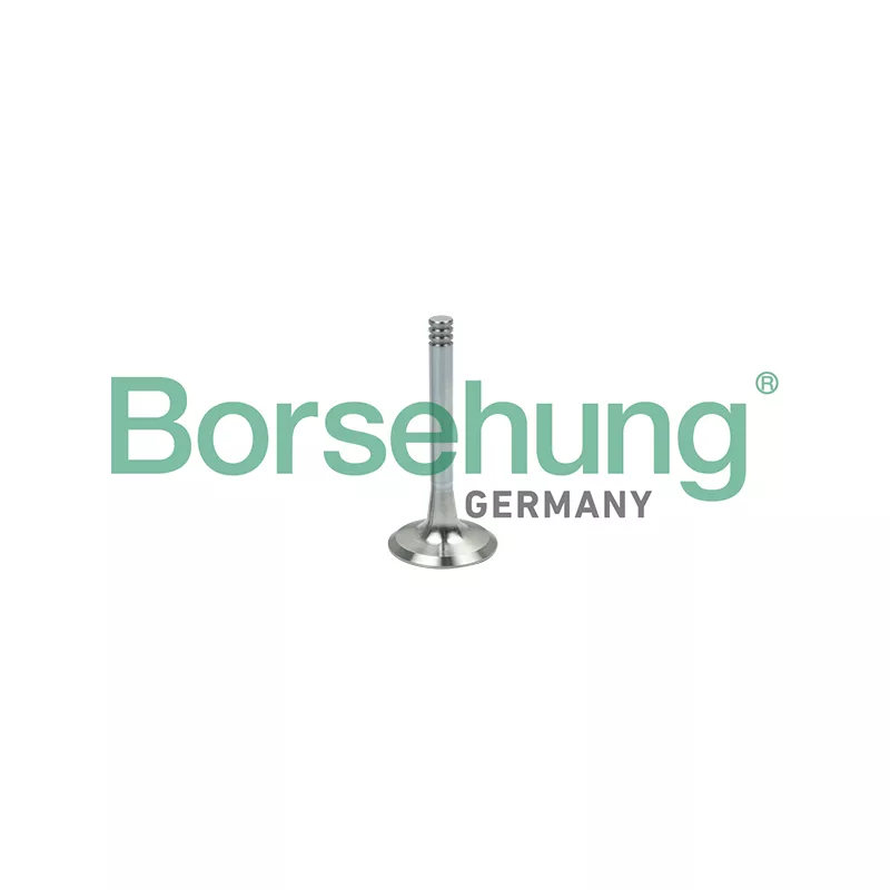 Soupape d'émission Borsehung B19002