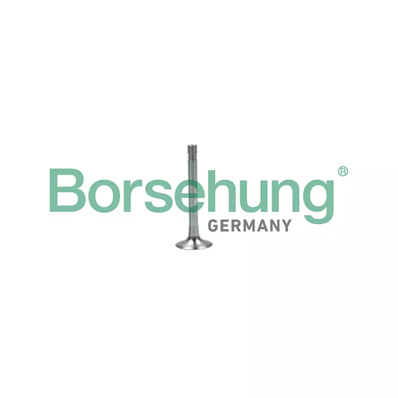 Soupape d'émission Borsehung B19003