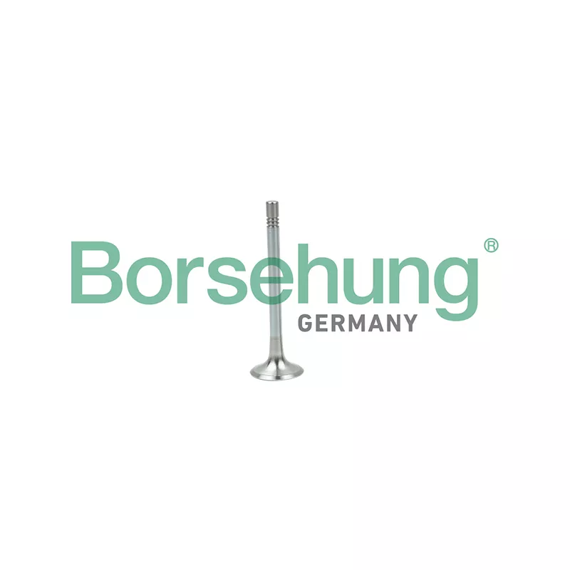 Soupape d'émission Borsehung B19004