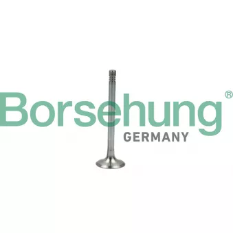 Soupape d'émission Borsehung B19005