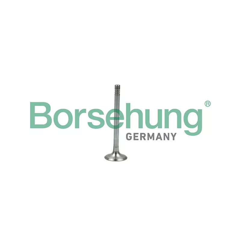 Soupape d'émission Borsehung B19005