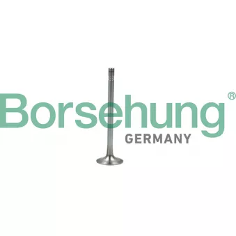 Soupape d'émission Borsehung