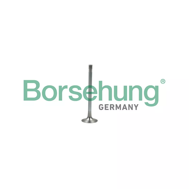 Soupape d'émission Borsehung B19007