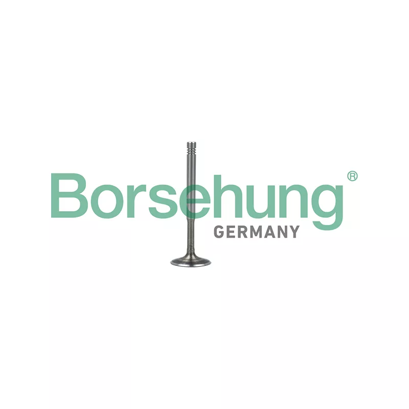 Soupape d'émission Borsehung B19010