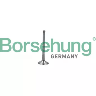 Soupape d'émission Borsehung B19011