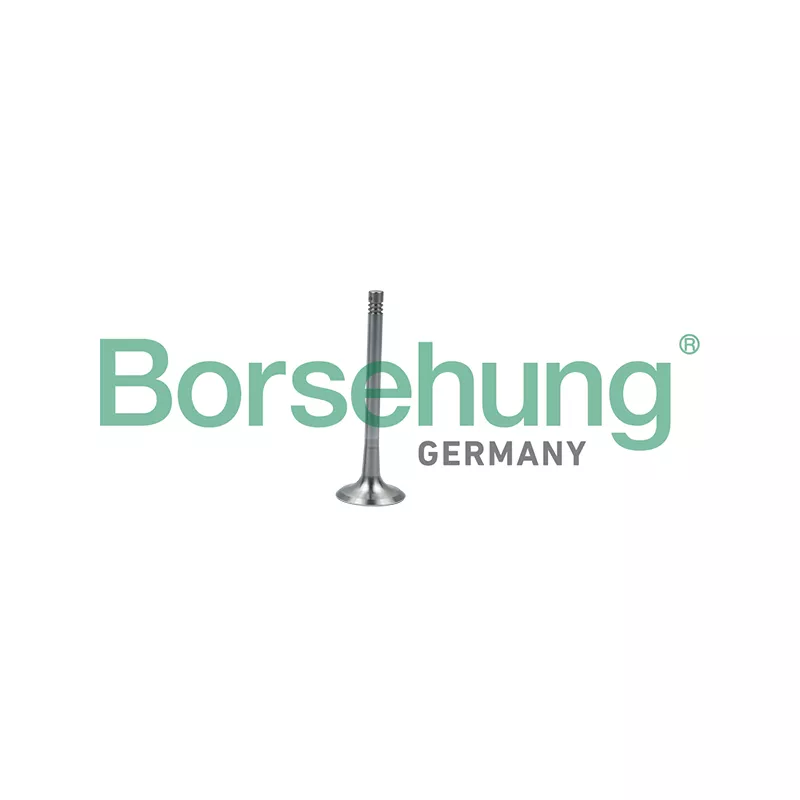 Soupape d'émission Borsehung B19011