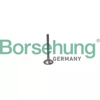Soupape d'émission Borsehung B19012