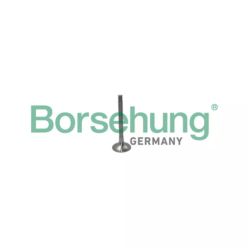 Soupape d'émission Borsehung B19012