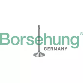 Soupape d'admission Borsehung B19017