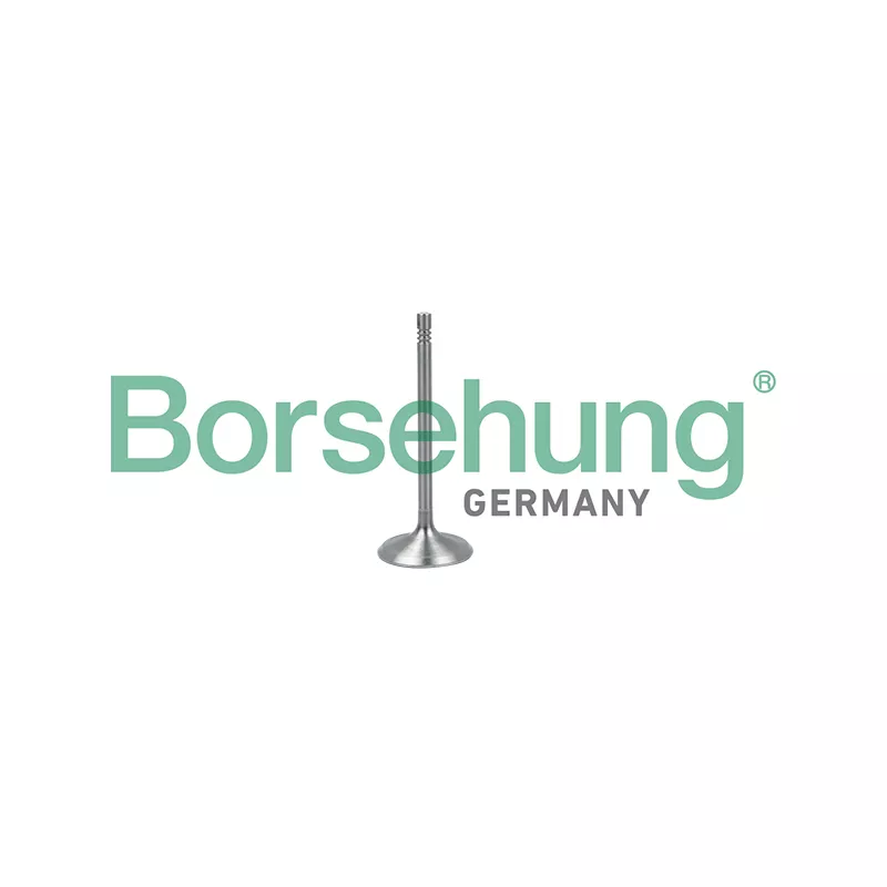 Soupape d'admission Borsehung B19017
