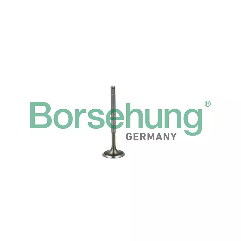 Soupape d'admission Borsehung B19019