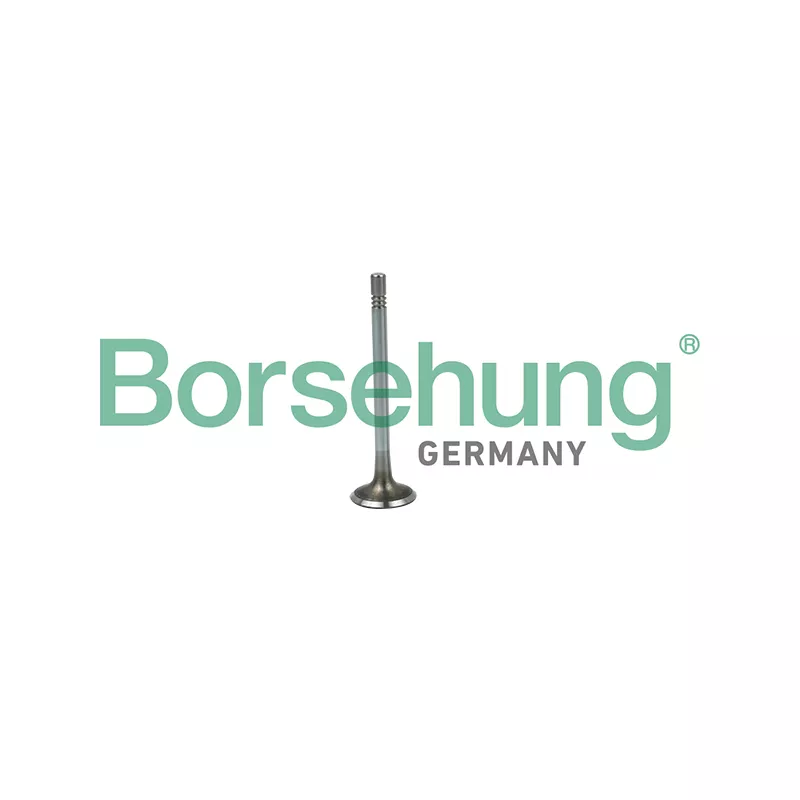 Soupape d'admission Borsehung B19020