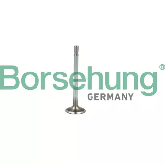 Soupape d'admission Borsehung B19021