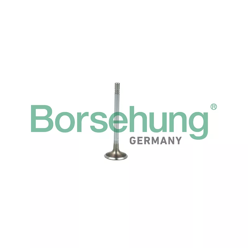 Soupape d'admission Borsehung B19021