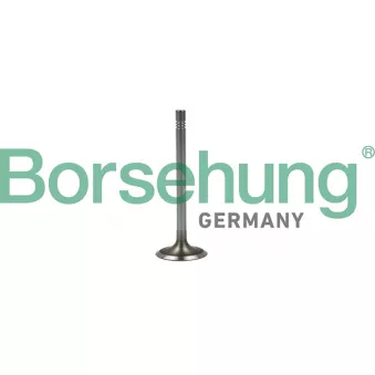 Soupape d'admission Borsehung B19022