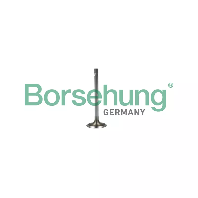 Soupape d'admission Borsehung B19022
