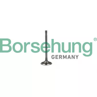 Soupape d'admission Borsehung B19023