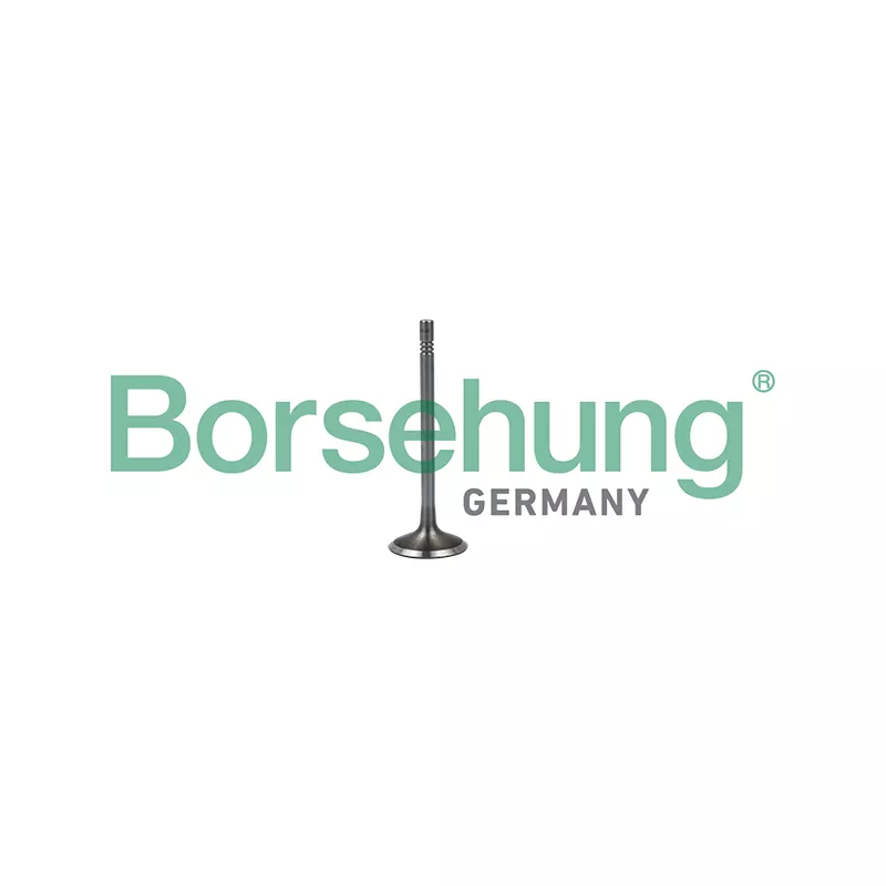 Soupape d'admission Borsehung B19023