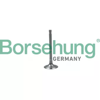 Soupape d'admission Borsehung B19024