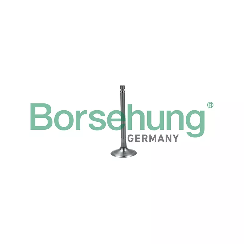 Soupape d'admission Borsehung B19024