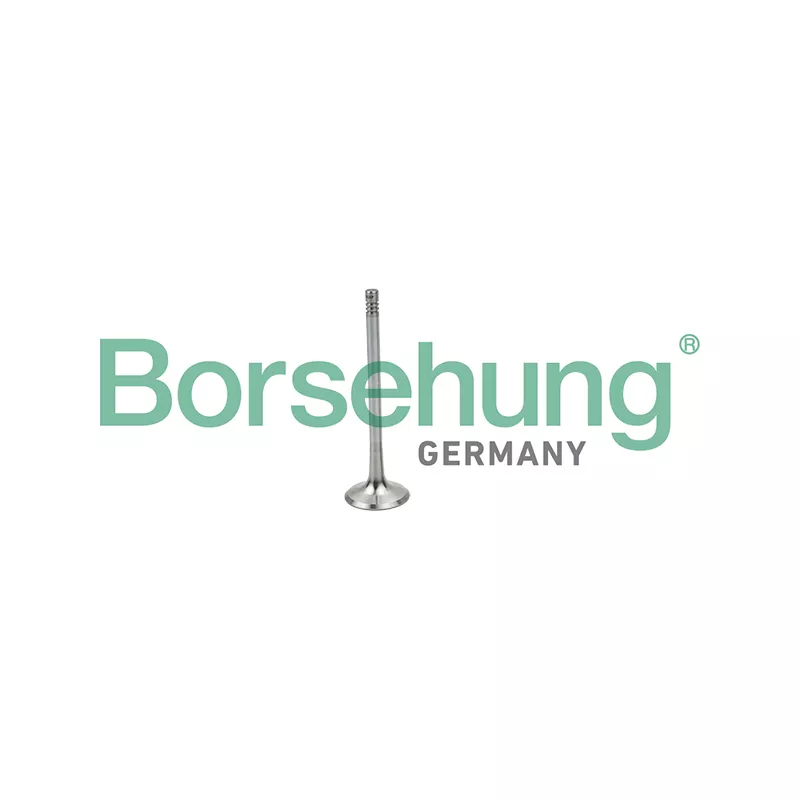 Soupape d'admission Borsehung B19025