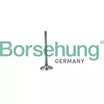 Soupape d'admission Borsehung B19026