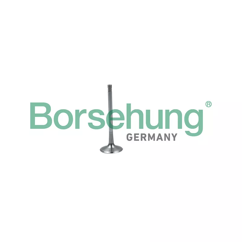 Soupape d'admission Borsehung B19026
