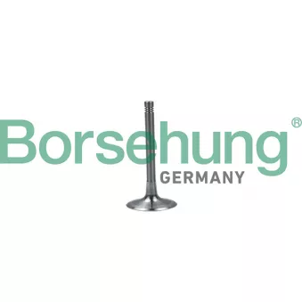 Soupape d'admission Borsehung B19028