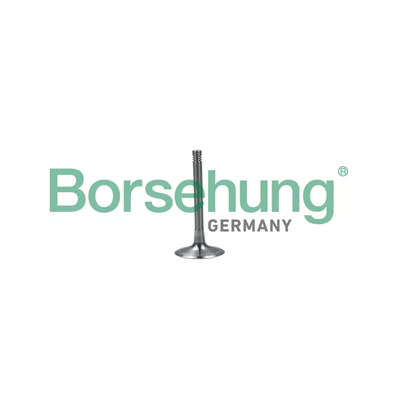 Soupape d'admission Borsehung B19028