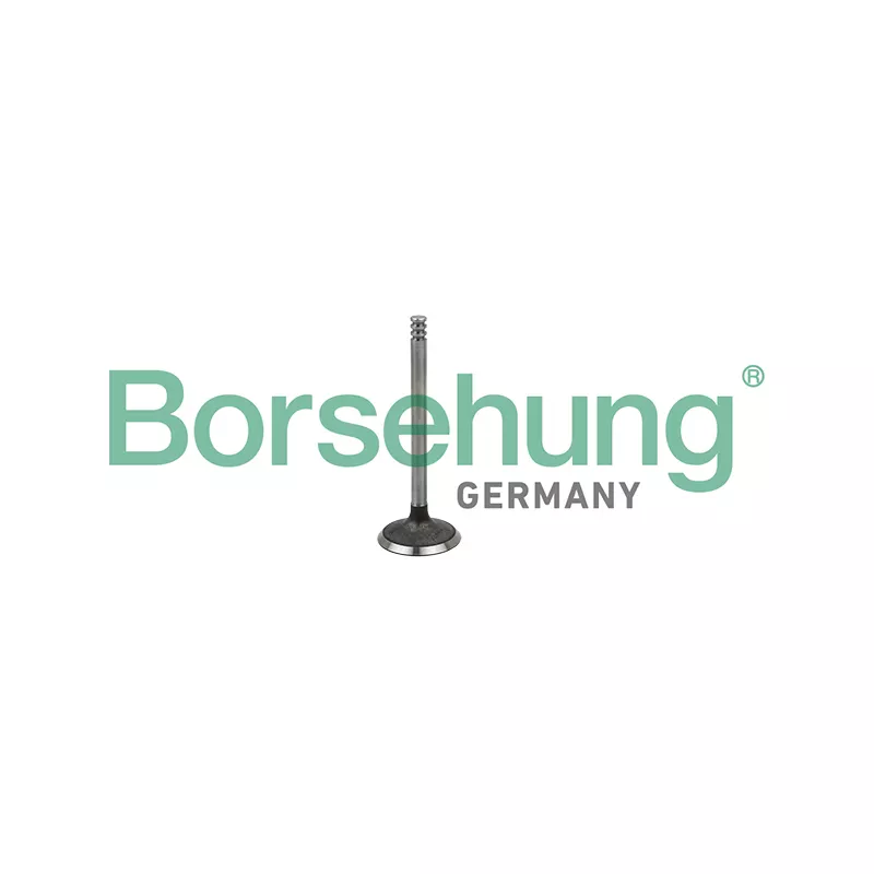 Soupape d'admission Borsehung B19029