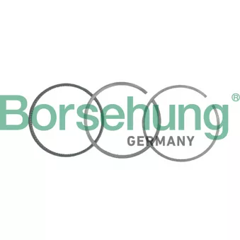 Jeu de segments de pistons Borsehung B19041