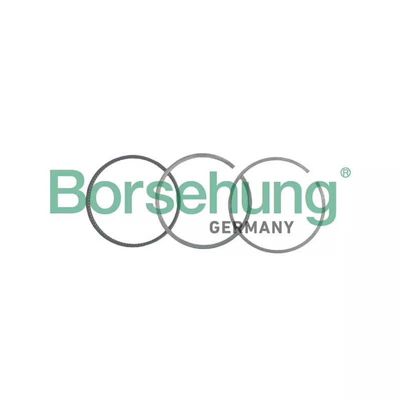 Jeu de segments de pistons Borsehung B19041