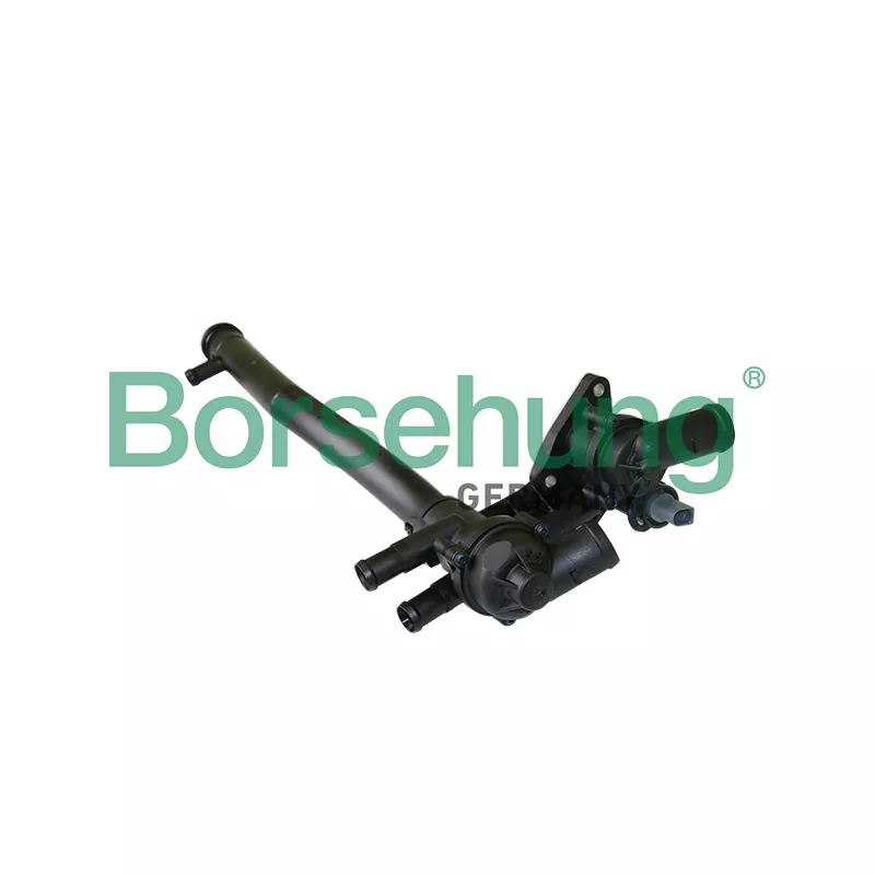 Thermostat, liquide de refroidissement Borsehung B19086