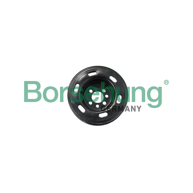 Poulie, vilebrequin Borsehung B19121