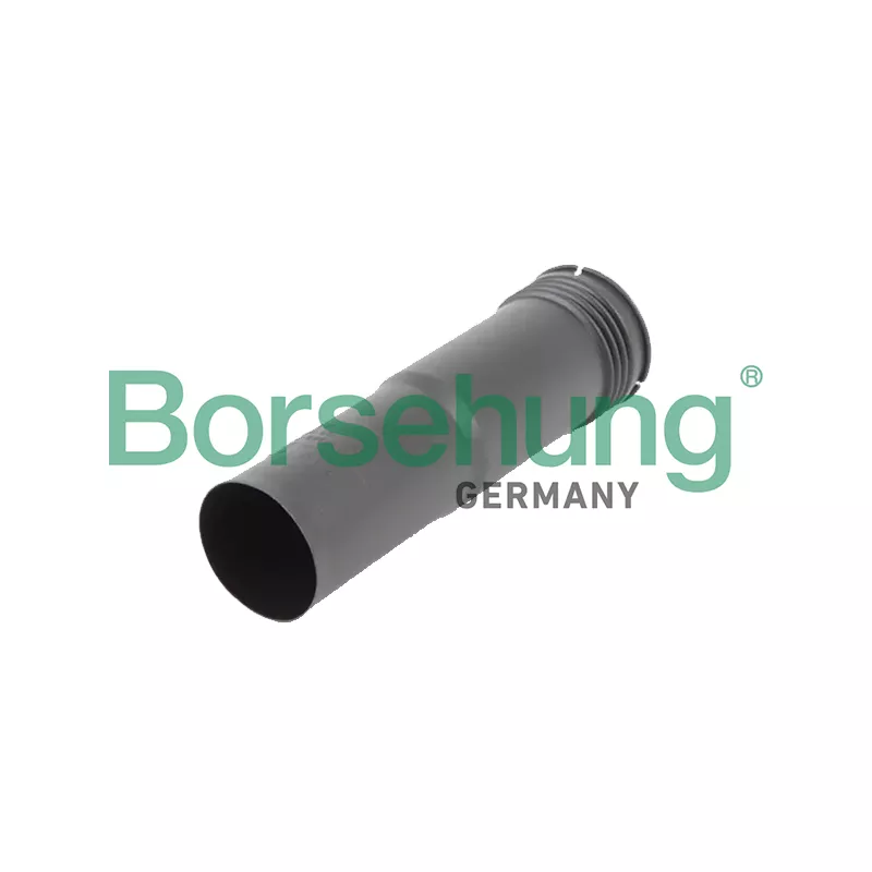 Bouchon de protection/soufflet, amortisseur Borsehung B19168