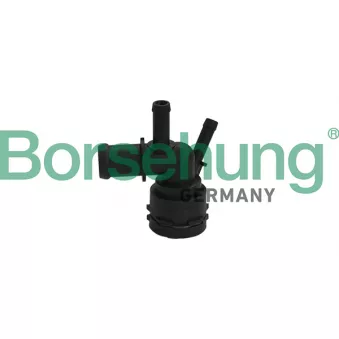 Bride de liquide de refroidissement Borsehung B19181