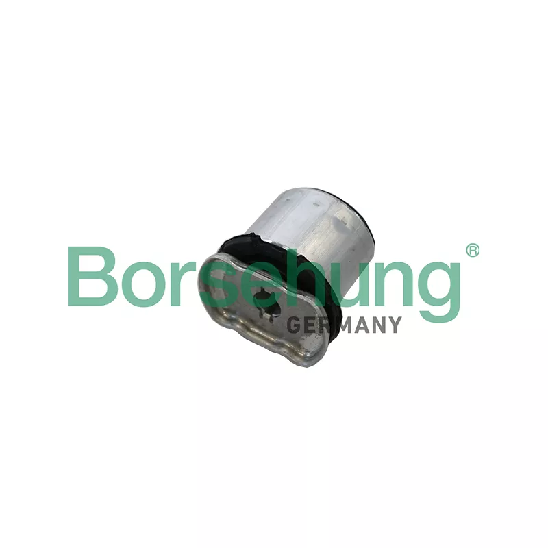 Suspension, corps de l'essieu Borsehung B19196
