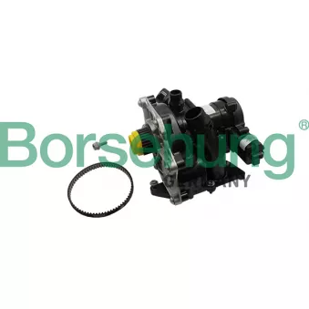 Kit pompe à eau Borsehung B19205