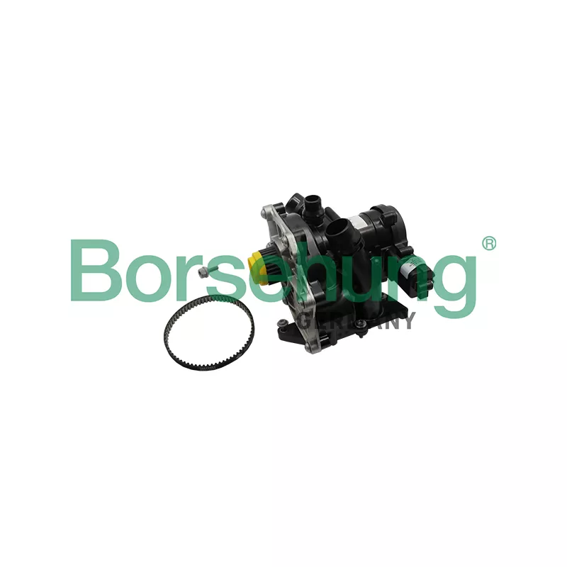 Kit pompe à eau Borsehung B19205